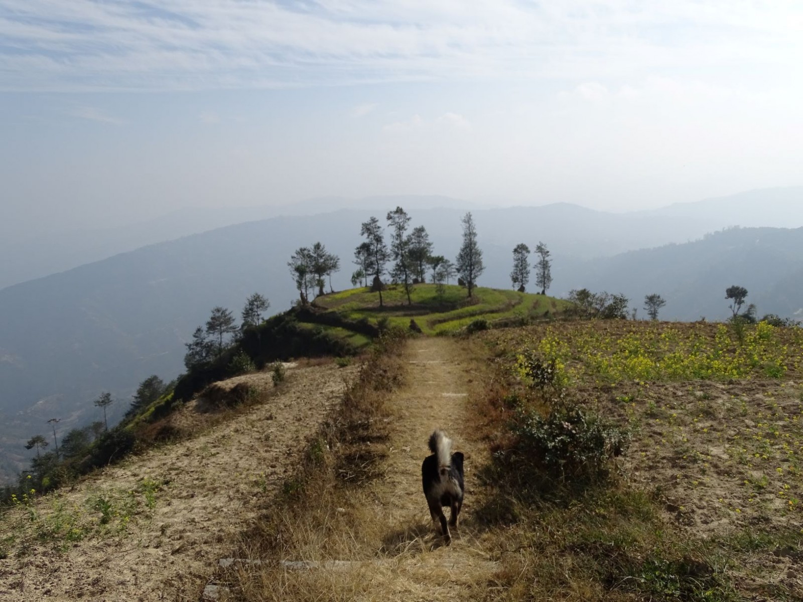 Hiking Dhulikhel - Nagarkot $95/- 